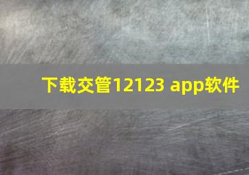 下载交管12123 app软件